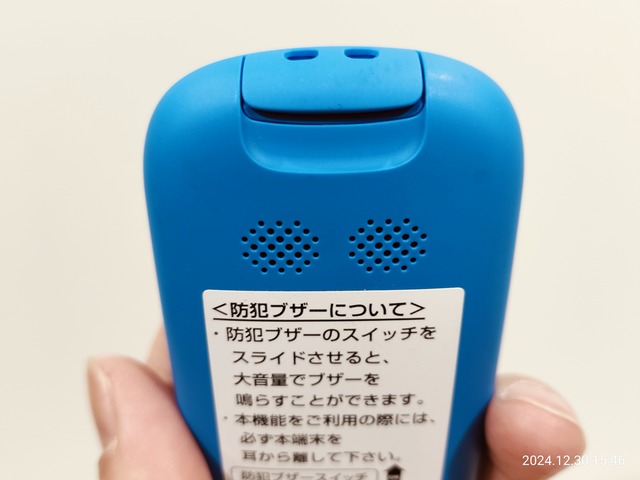 IMG20241230154610