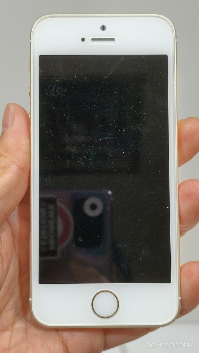 IMG20241008191738