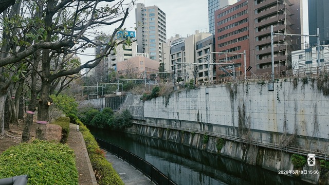 IMG20260318153558