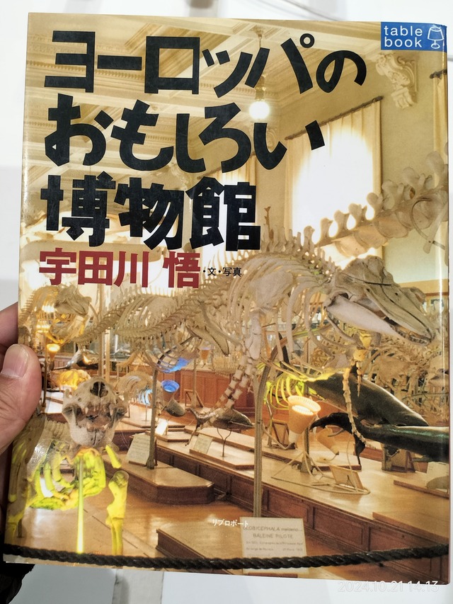IMG20241021141338
