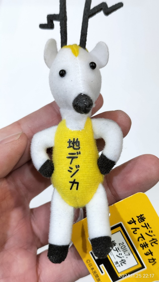 IMG20241125221710