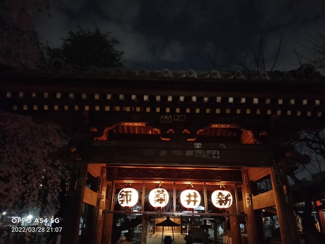 IMG20220328210751