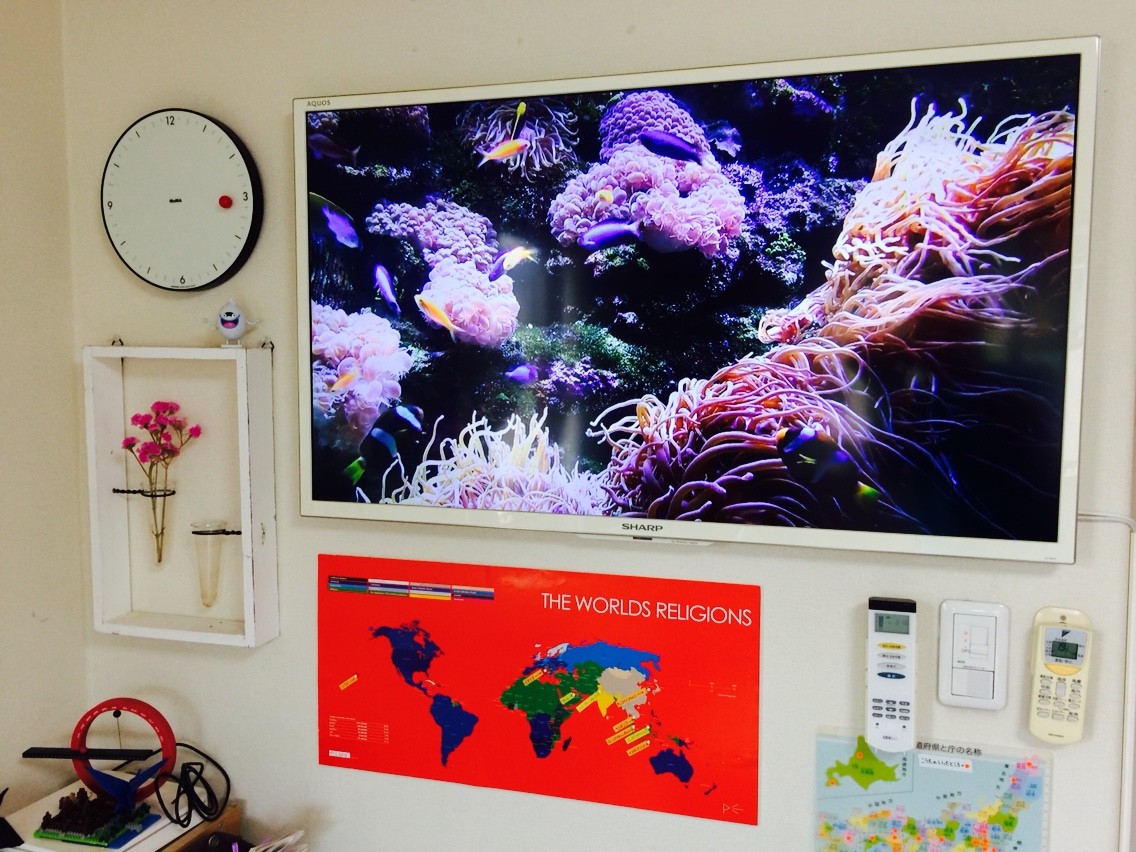 テレビ見てない時消してるの？うちは水槽にしてるよ！ himag