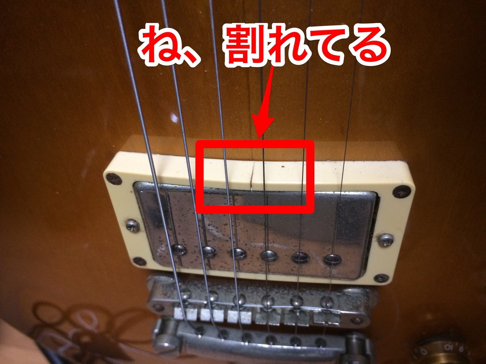 割れたエスカッションは交換すべし Himag 割れたエスカッションは交換すべし Himag