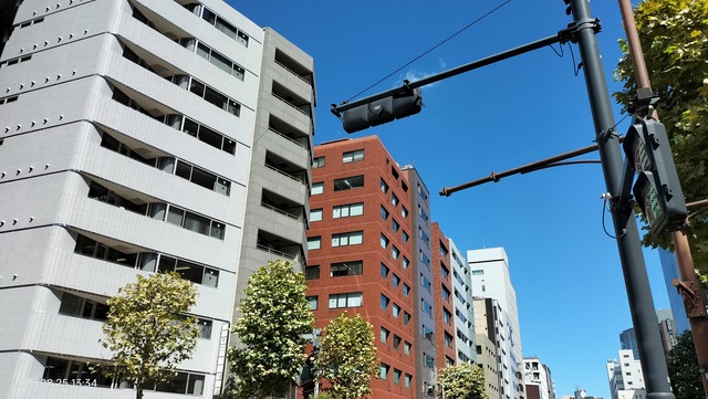 IMG20230825133449