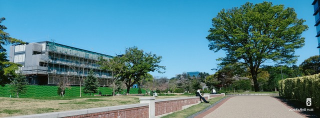 IMG20260408142337