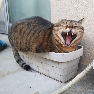 no title