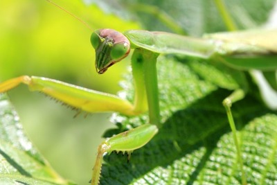 IMG_36271-540x360