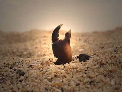sand-1568644_640