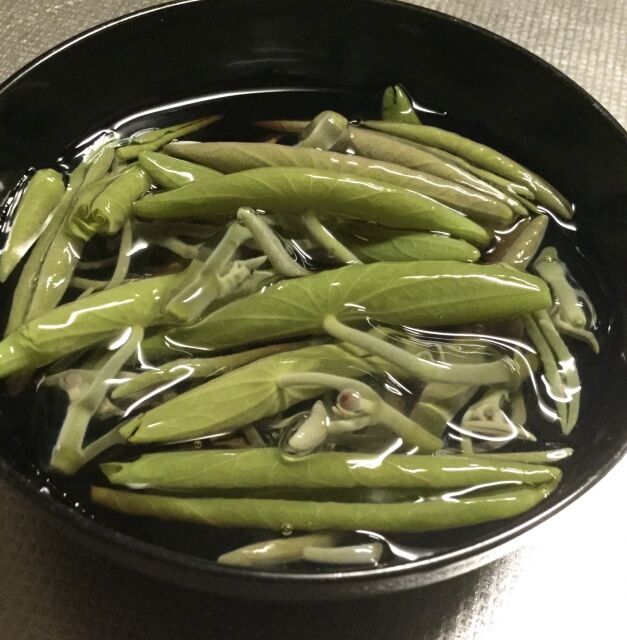 蓴菜 じゅんさい は古事記 万葉集にも登場する春 夏の食べ物で 旧名ぬなわ タベシラ 食べて調べて書く雑学ブログ