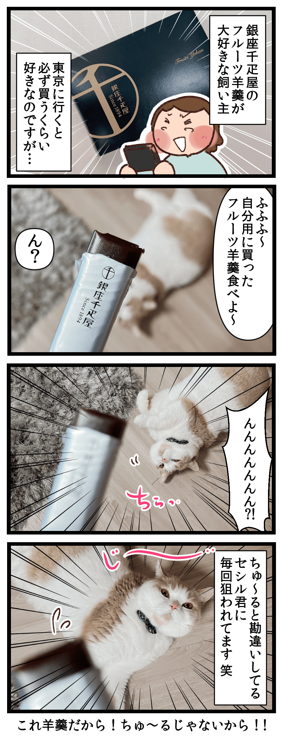 それはちゅ〜るですか? いいえこれは羊羹です : ぼく、猫なんで★ブリティッシュショートヘア・セシル君との毎日