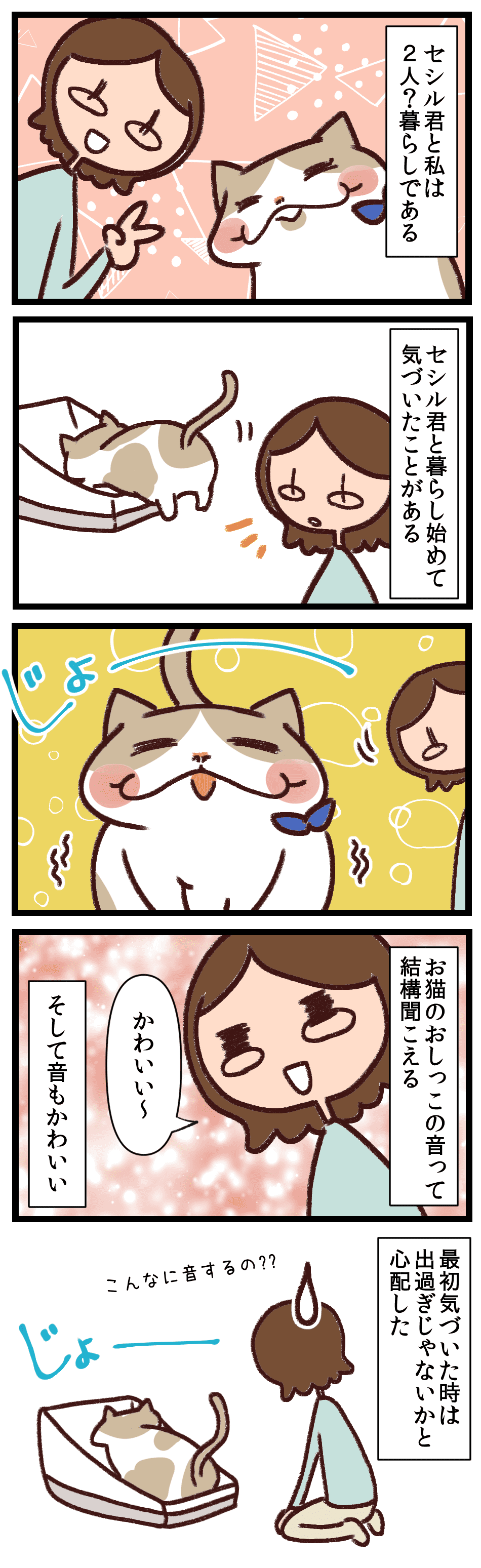 排泄音すらかわいい それがお猫 ぼく 猫なんで ブリティッシュショートヘアとの愉快な毎日