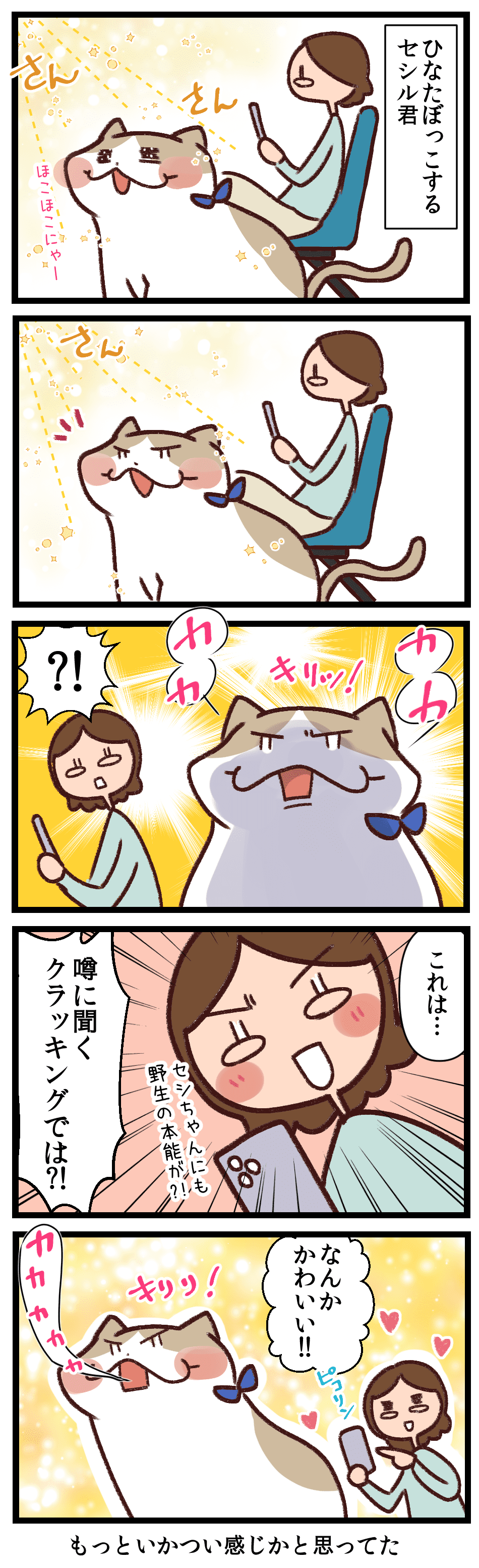  GrayKey Box のような iPhone クラッキング手法は平均 11 時間で 6 桁のパスワードを推測できる