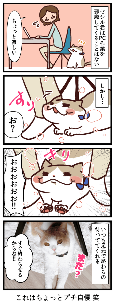 プチ自慢