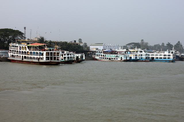 IMG_3335.jpg