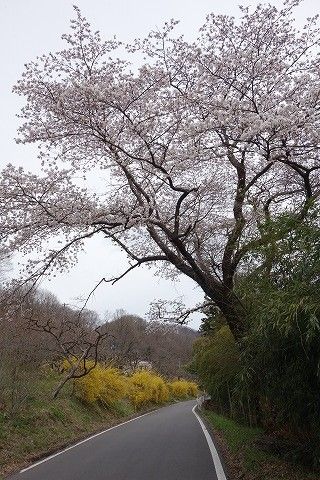DSC01664