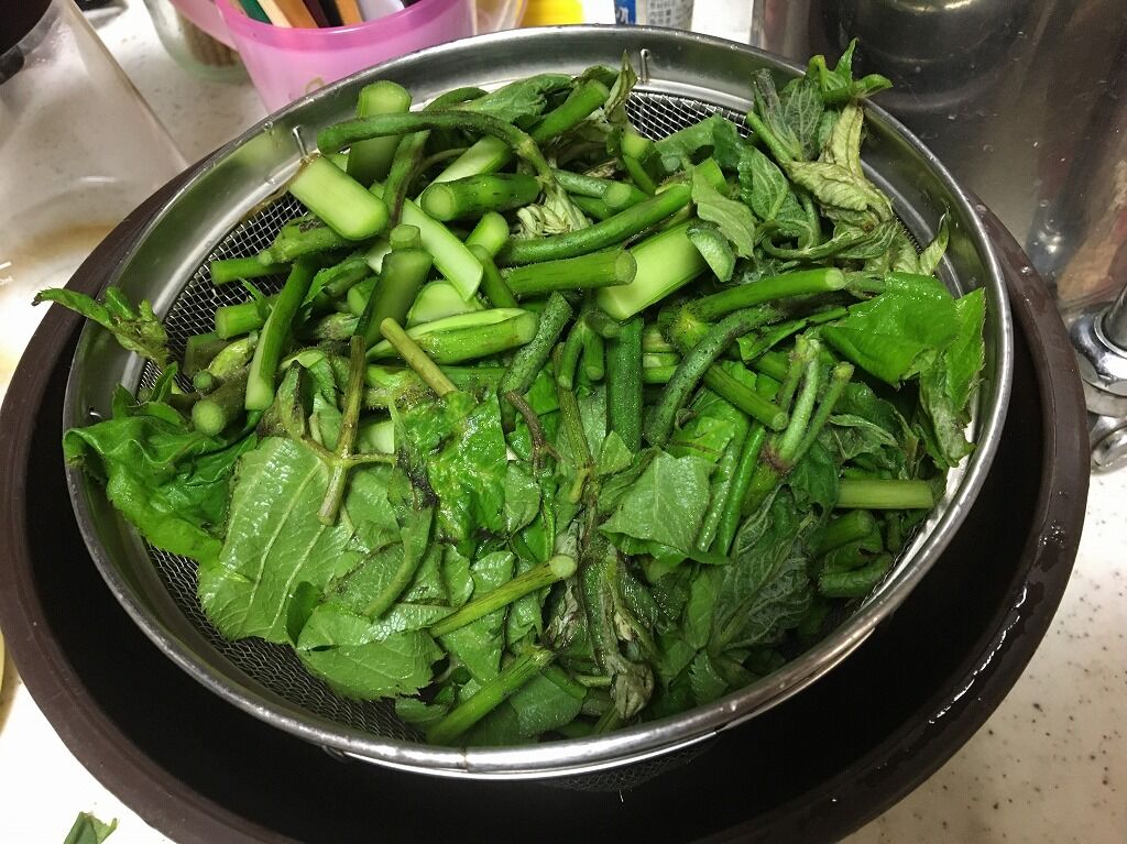 最高 美味しい山菜と魚とお酒 リトルカブ珍道中記