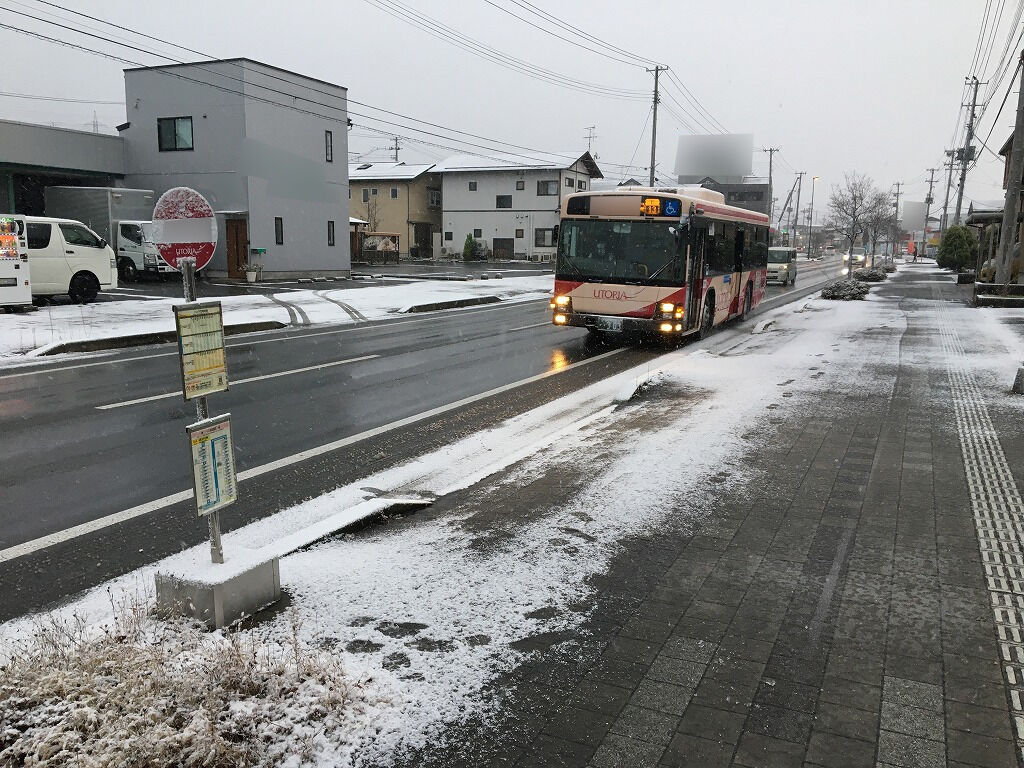 ついに雪が降り始めました リトルカブ珍道中記
