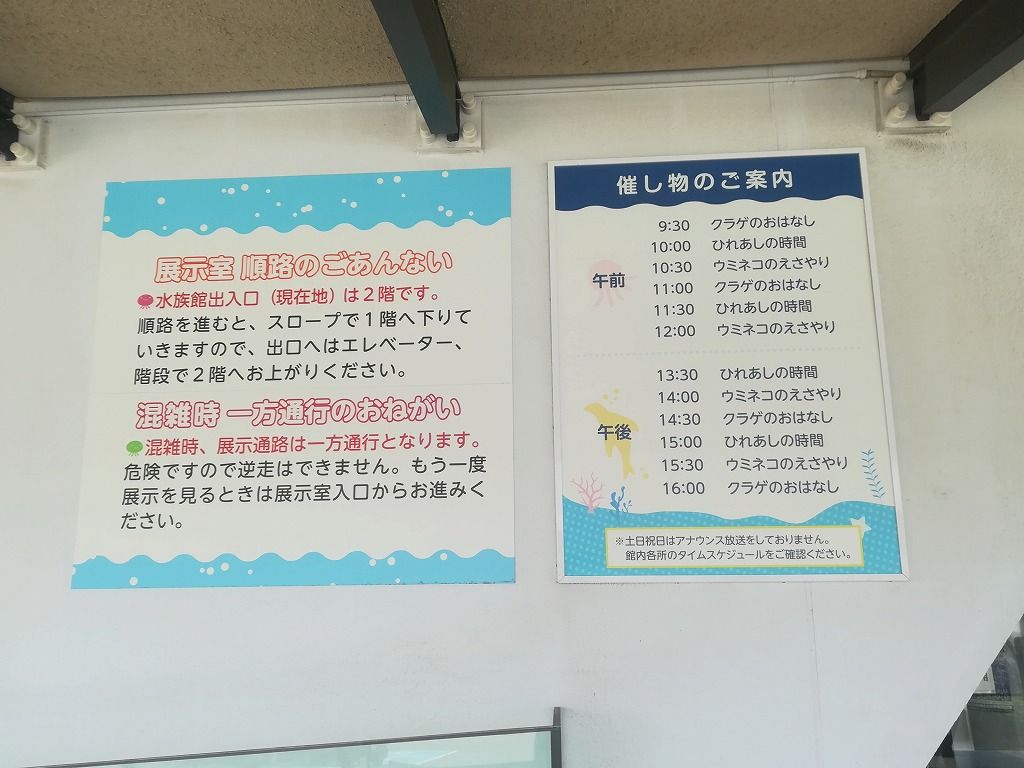 クラゲ クラゲ クラゲ リトルカブ珍道中記 クラゲ クラゲ クラゲ リトルカブ珍道中記