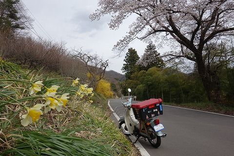 DSC01670_1