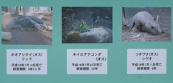 ヒーマンの上野を散歩 上野動物園 一般