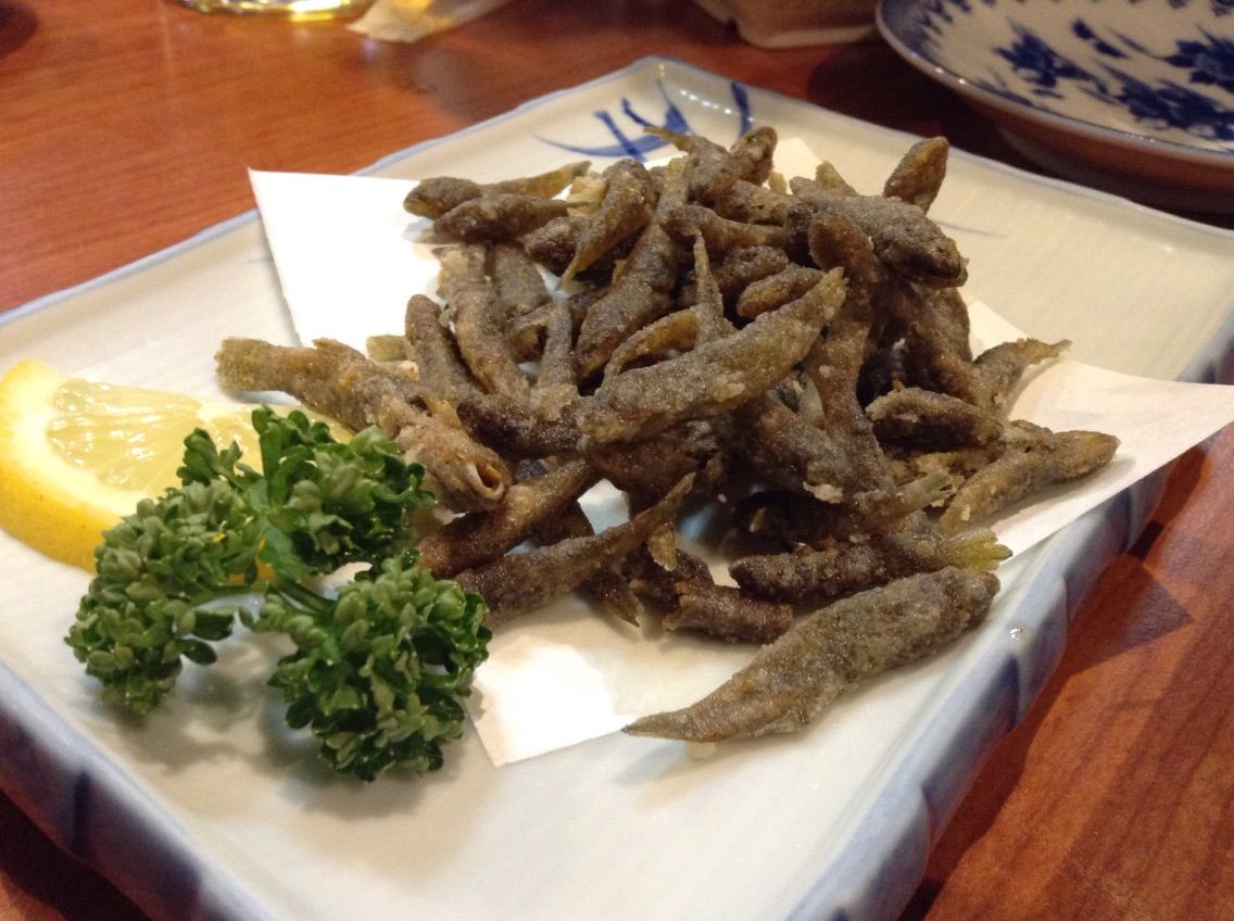 四国旅3 高知の居酒屋 葉牡丹 が最高だった 暇なんでblog 四国旅3 高知の居酒屋 葉牡丹 が最高だった 暇なんでblog