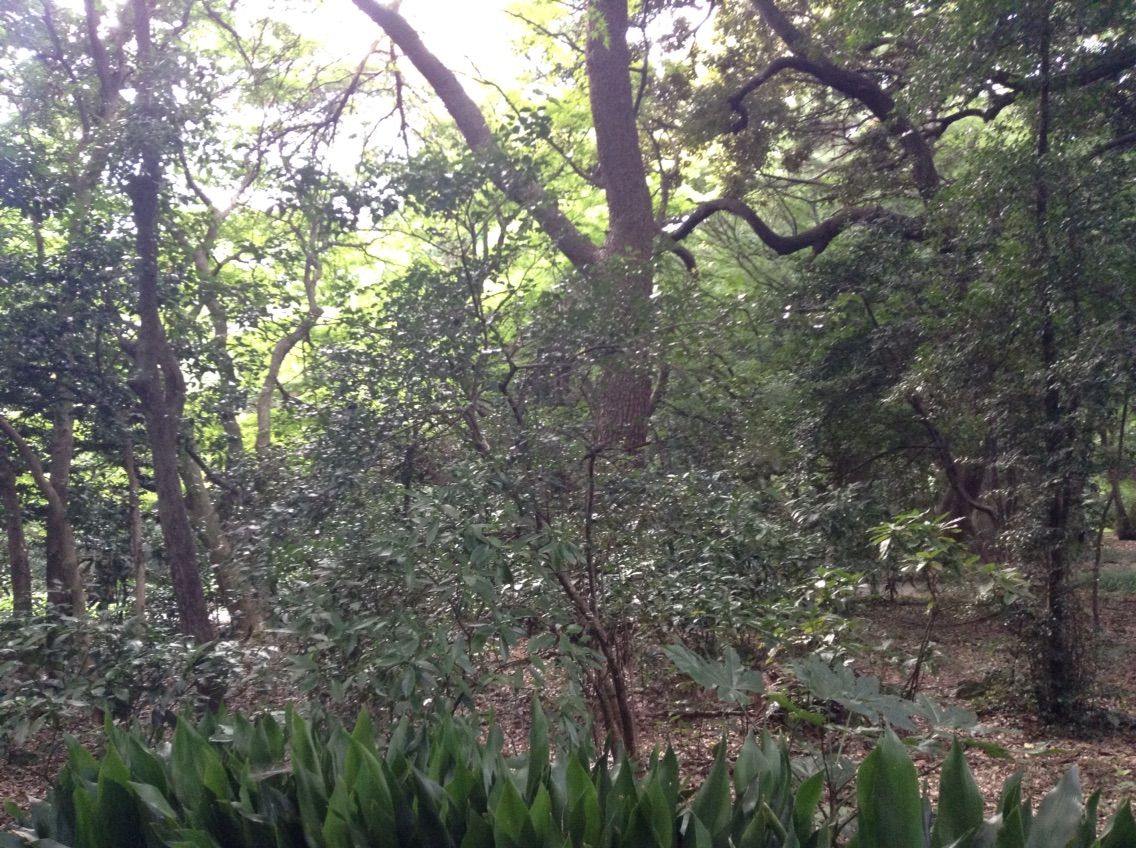 言の葉の庭 の聖地である新宿御苑を巡礼してきた 暇なんでblog