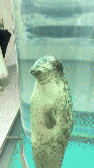 画像 生きたまままんじゅうにされたアザラシが悲惨すぎる ごちゃごちゃ速報