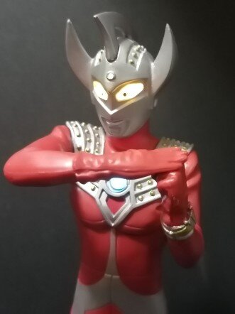 タロウ6