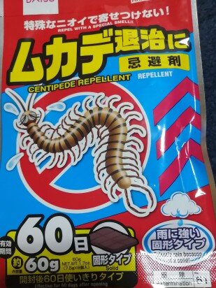 100ムシ9