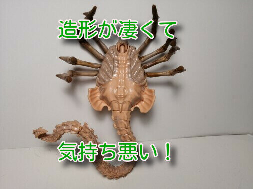 クイーンフェイスハガー111