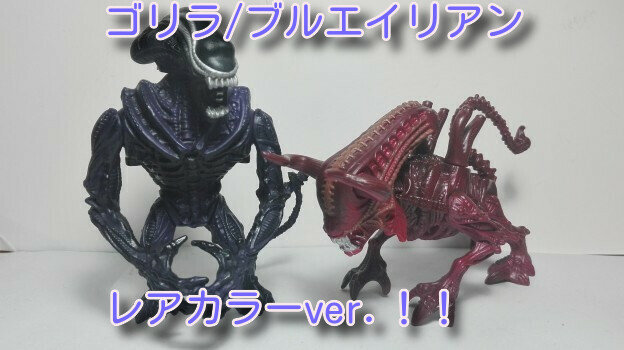ブル22
