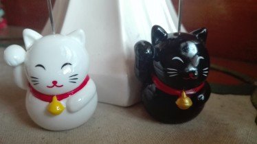 招き猫写真2