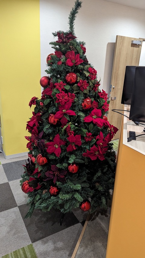 PXL_20241221_222454713