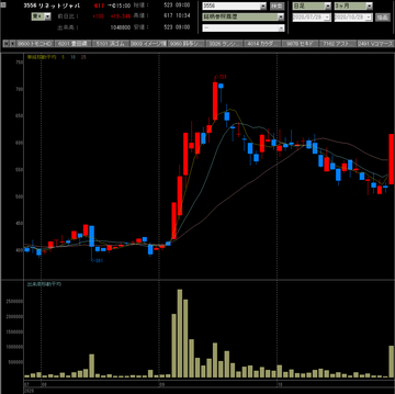 20201029リネットジャパン