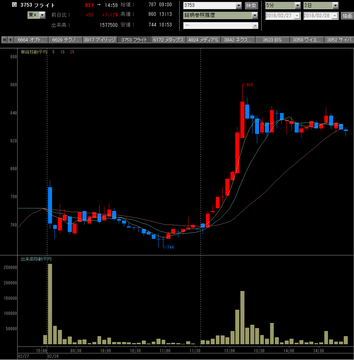 20180228フライトホールディングス