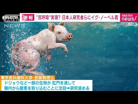 【朗報】日本人、肛門で呼吸することに成功するｗｗｗｗｗｗｗｗｗｗｗｗ
