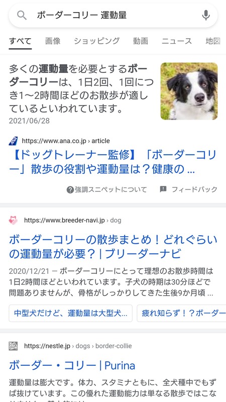 犬の賢さランキングｗｗｗｗｗｗｗｗｗｗｗ なんと柴犬は 暇人 O 速報 ライブドアブログ
