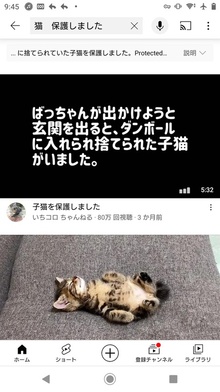悲報 猫拾いましたユーチューバーさん 月200人くらいいる 暇人 O 速報 ライブドアブログ