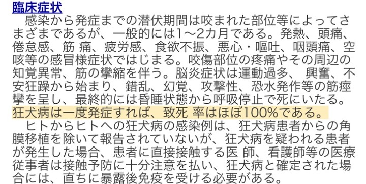 【速報】狂犬病を治したX民現るｗｗｗｗｗｗｗｗｗｗｗｗ