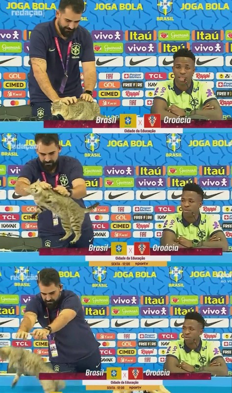 【悲報】記者「ネッコ可愛いなぁ」　ブラジル人「！！！」ｼｭﾊﾞﾊﾞﾊﾞﾊﾞ　→