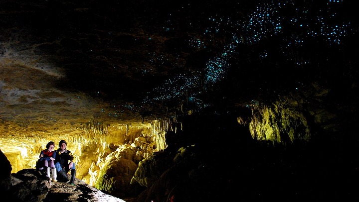 1280px-Green_Glow_Caves_in_New_Zealand_(6563152219)