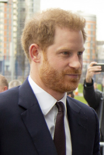 Prince_Harry,_Duke_of_Sussex_2020_cropped_02