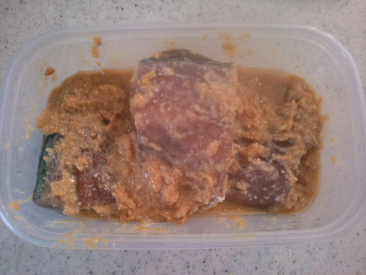 フクラギの塩麹と味噌の漬け焼き 初心者 女性 ベテランまでのルアー釣り 今すぐ使えるルアーフィッシング上達