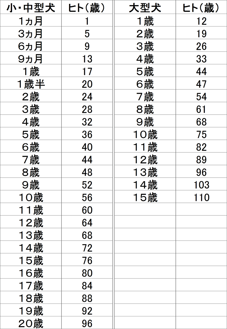 【動物】犬の年齢を人間に換算する新しい公式！「16×loge(犬の年齢)＋31＝人間に換算した年齢」 にほんのニュース