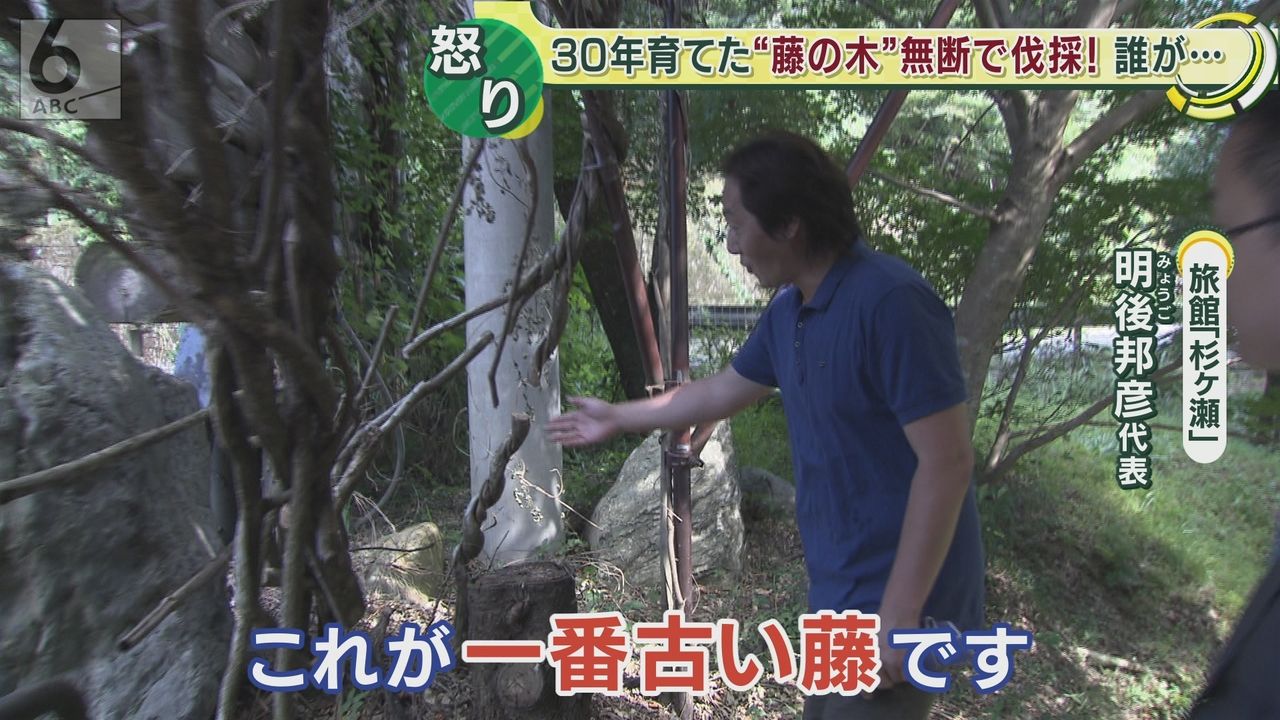 藤の木 関西 電力