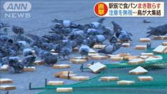駅前で大量の食ﾊﾟﾝをﾊﾞﾗまく男女 大量のｶﾗｽやﾊﾄに住民が迷惑