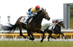 無敗の三冠馬・ﾃﾞｨｰﾌﾟｲﾝﾊﾟｸﾄ死す 頸椎骨折で安楽死処置