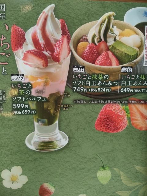 IMG20260308142628