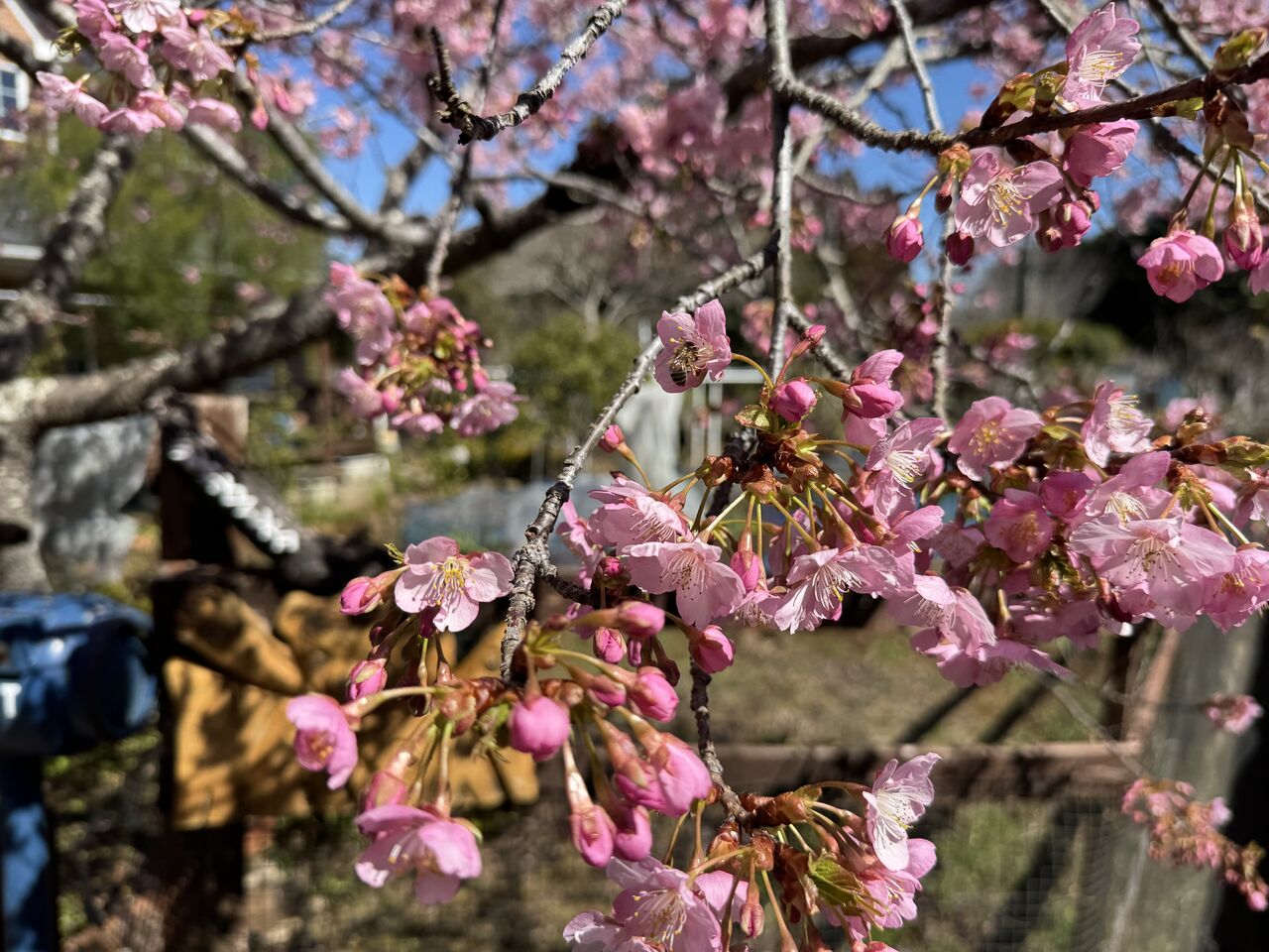 20250310_070222000_iOS